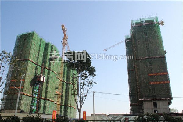 2018102616011664582qkdelz.jpg 1(1).jpg