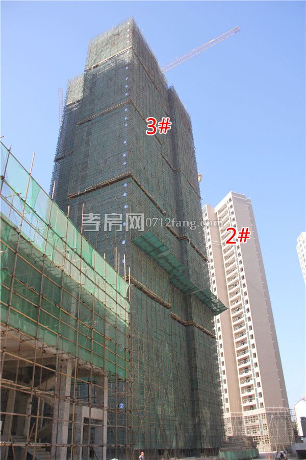 2018103010270083750wntd7y.jpg 2.3.jpg