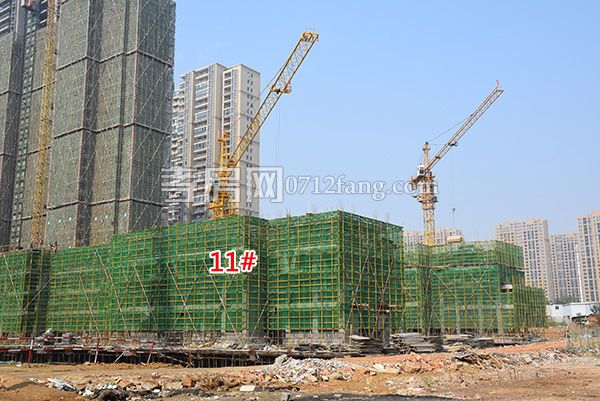 2018103011283912028ldcelc.jpg 微信圖片_20181029153052.jpg