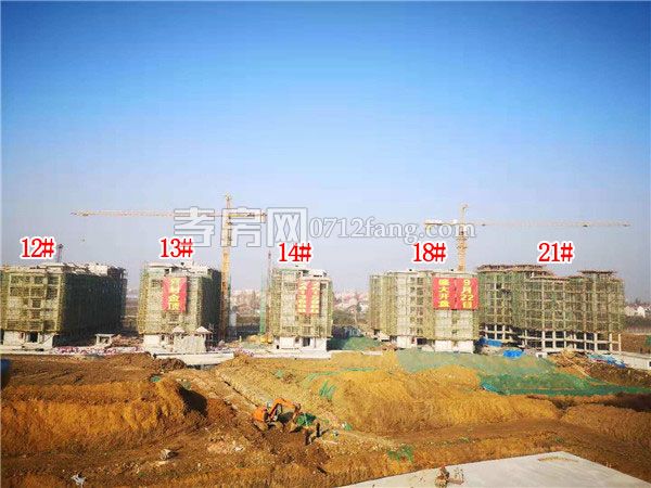 20181122094047579161wshhx.jpg 2.jpg