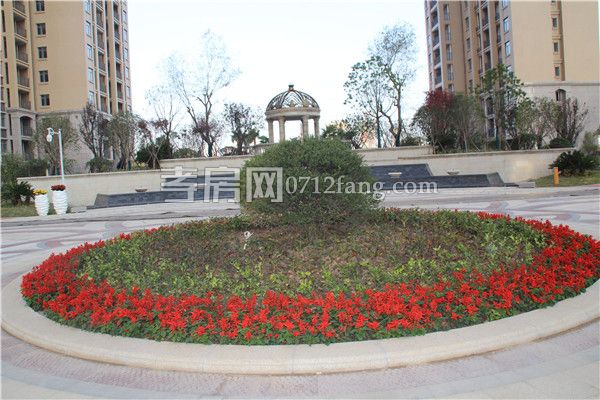 花壇.jpg