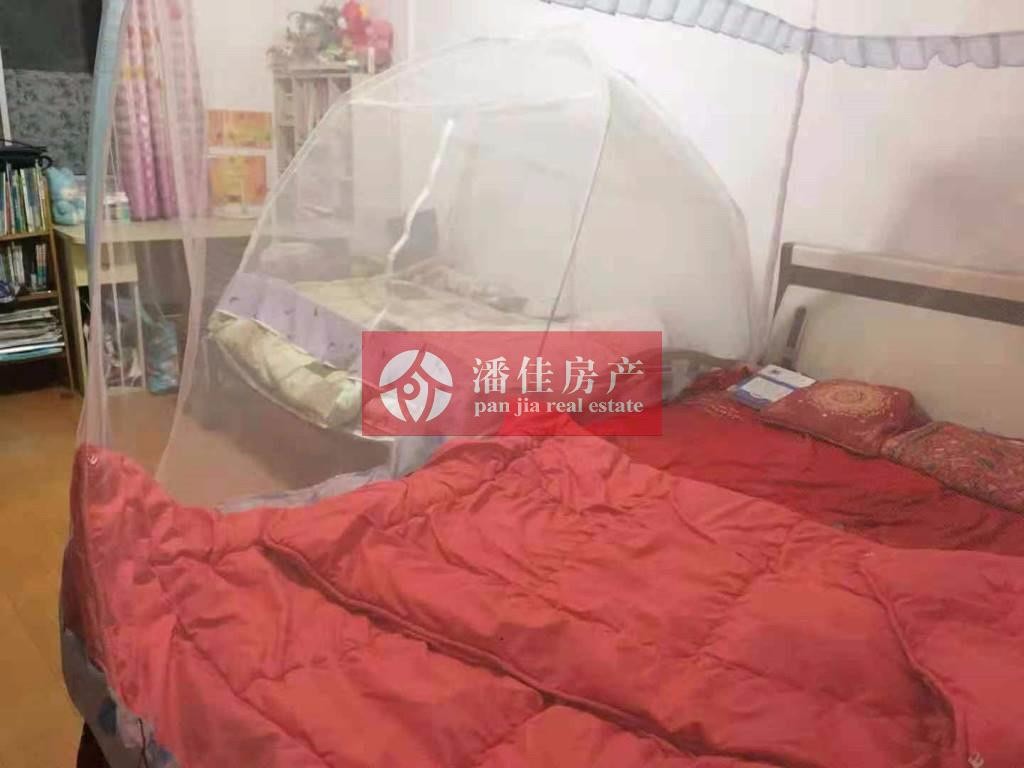 【文昌小區(qū)】經(jīng)典養(yǎng)老房文昌小區(qū)1樓帶院子73平米30萬