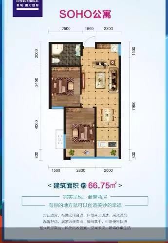 南方國際公寓46.39平，首付8萬擁有一套電梯房月租1500
