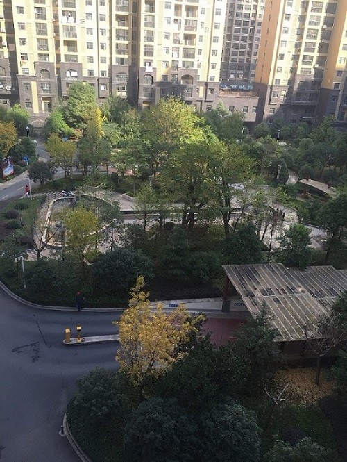 孝感市孝南區(qū)董永路三室兩廳兩衛(wèi)大陽臺電梯精裝房出租