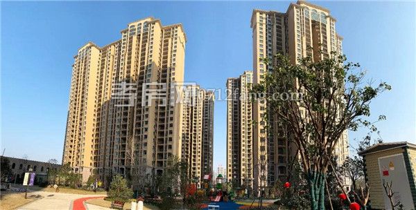 2019010209384056946zzlye1.jpg 3.jpg