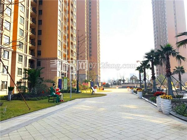 2019010209385779006db7agv.jpg 4.jpg