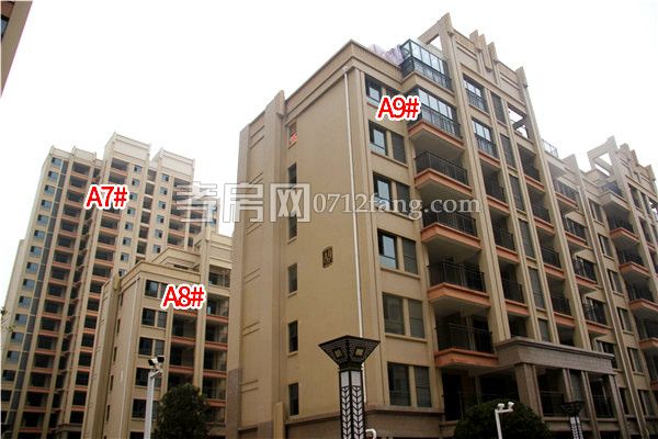 2019011209470114966hdeyqr.jpg 7-8-9.jpg