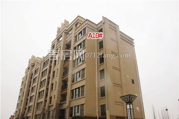 2019011209471289969zk1ims.jpg 10.jpg