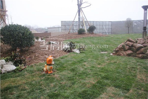 2019011209474489202bjahcj.jpg 綠化3.jpg