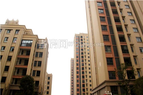 2019011209495645059jr8wot.jpg 現(xiàn)房.jpg