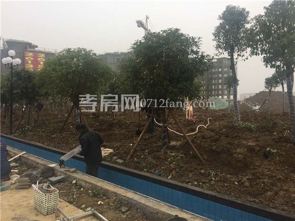 2019011417060572285rsfmv3.jpg 1.jpg