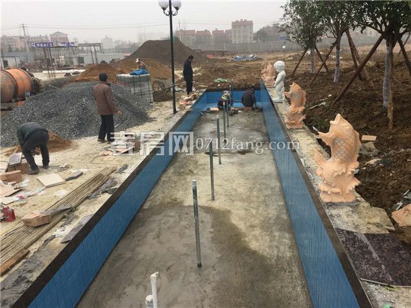 2019011417061873768okirsc.jpg 5.jpg