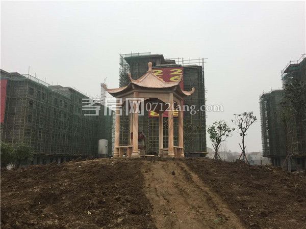 2019011417070869252ted3wc.jpg 2.jpg