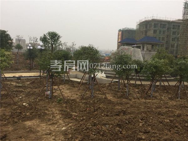 20190114170754881926ospfp.jpg 4.jpg