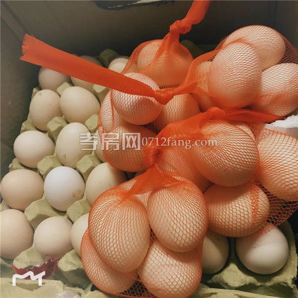 2019011714590350137cf6qau.jpg 5.jpg