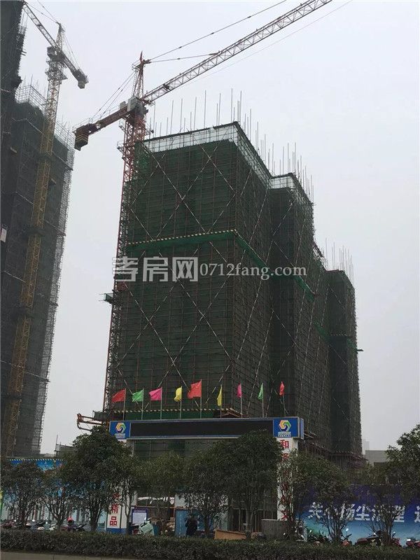 2019011918015036954vuw6t5.jpg 4.jpg