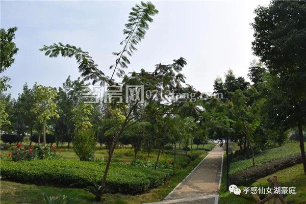 2019021509390661817hylgsw.jpg 6.jpg