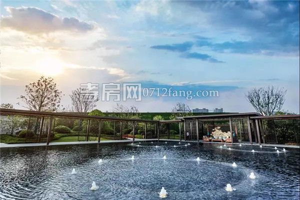 2019022217172550691bppczv.jpg 8.jpg