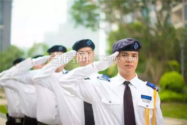 2019022217191364502bomq23.jpg 10.jpg