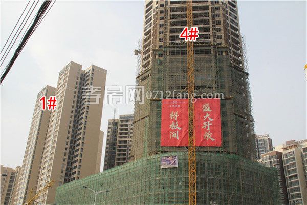 20190225183445763702llonp.jpg 1-4.jpg