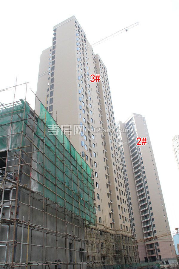 2019022518354621451rhs8xs.jpg 2-3.jpg