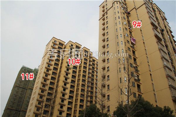 2019022519094327924jkbxvc.jpg 9--10-11.jpg