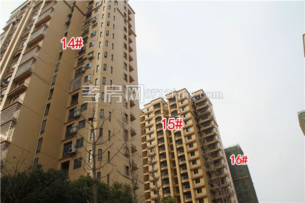 20190225191004380795koixr.jpg 14-15-16.jpg