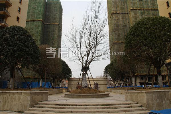 2019022519101847046hpmnrt.jpg 景觀臺.jpg