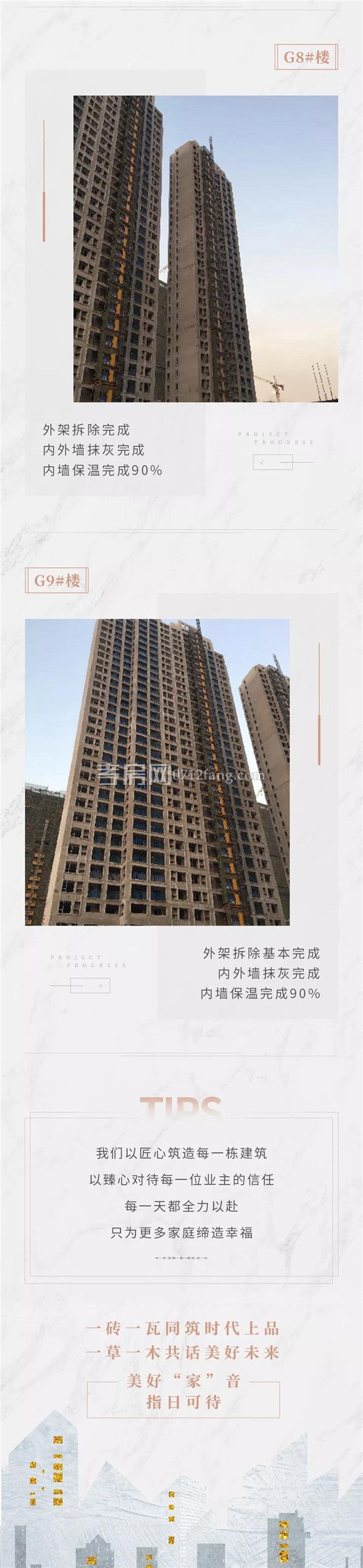 2019022614332174326qpo9ip.jpg 3.jpg