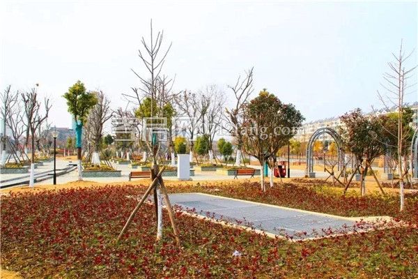 2019031311040110488twd7uw.jpg 16.jpg