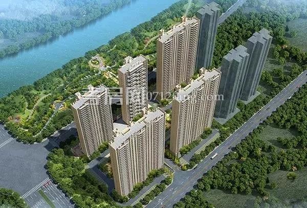 2019031311044448299agjhfr.jpg 19.jpg