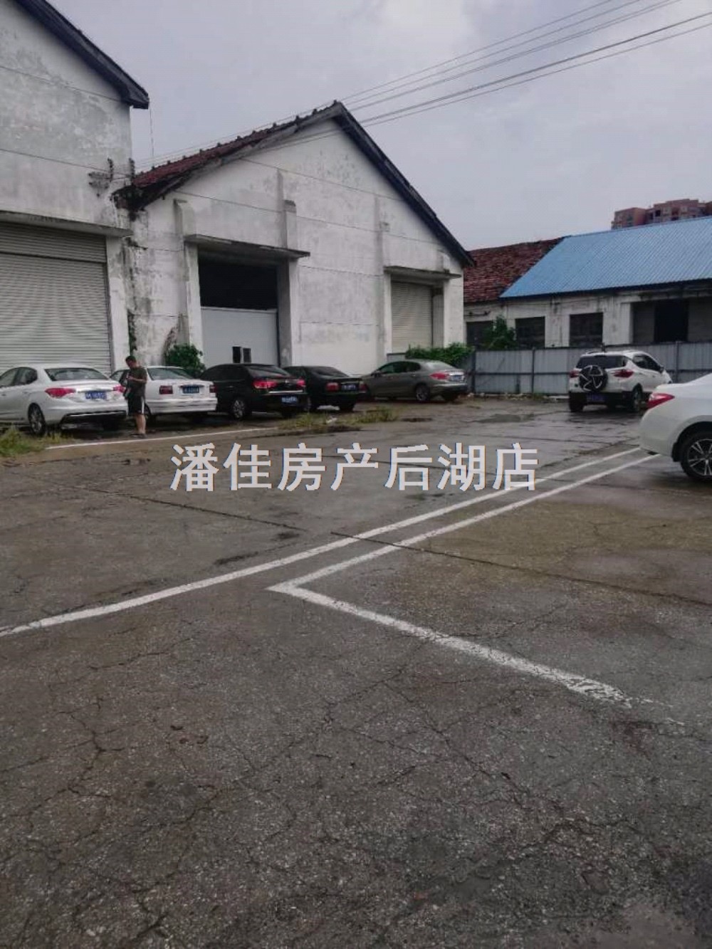 單價(jià)3100永新中學(xué)對(duì)面合力佳苑150平大三房二廳二衛(wèi)