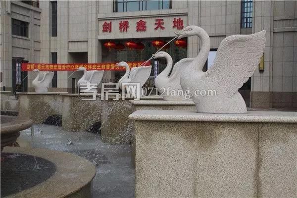 2019032110442659025iqq4co.jpg 5.jpg