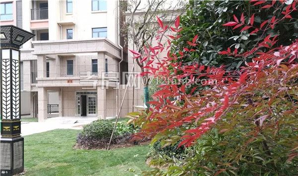 20190321104440449169daavi.jpg 6.jpg