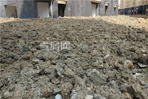 2019032714593863221xotgai.jpg 綠化2.jpg