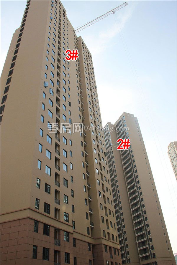 2019032715425568927tqaenx.jpg 2--3.jpg