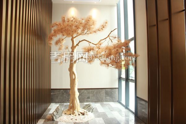 2019041717014315546zgheqf.jpg 15.jpg