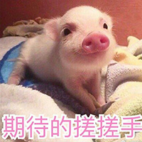 20190420100142573415imnpw.jpg /lpfile/2019/04/20/20190420100142573415imnpw.jpg