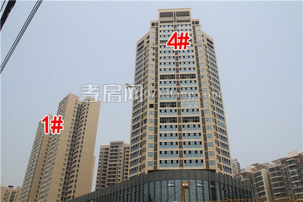 2019042511544511814xjogta.jpg 1.4.jpg