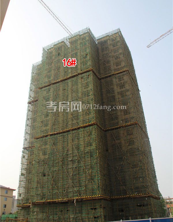 2019042708583222520xqgd1o.jpg 16.jpg