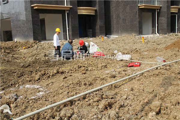 2019042708584186199hcceih.jpg 地面.jpg