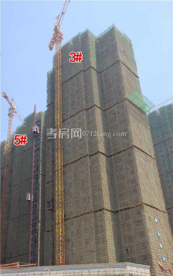 2019052317232264705ysuyza.jpg 3-5.jpg