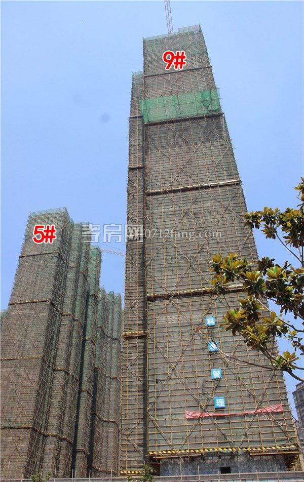 2019052317234087277pt7kjl.jpg 5-9.jpg