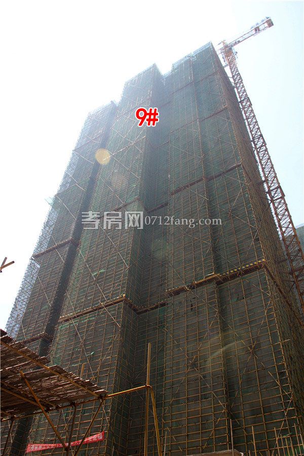 2019052317240123514ktsnlc.jpg 9.jpg