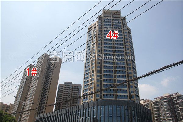 201906011839557333261sbxp.jpg 1.jpg