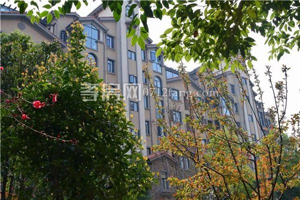 2019060416162756267dbguht.jpg 2.jpg