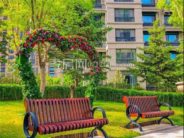 2019060516452712172sn7mxz.jpg 2.jpg