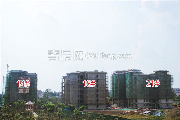 201906131749571365769i7q8.jpg 樓棟2.jpg