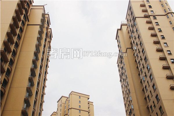 2019061410344186927t4cvhm.jpg 實景現房.jpg