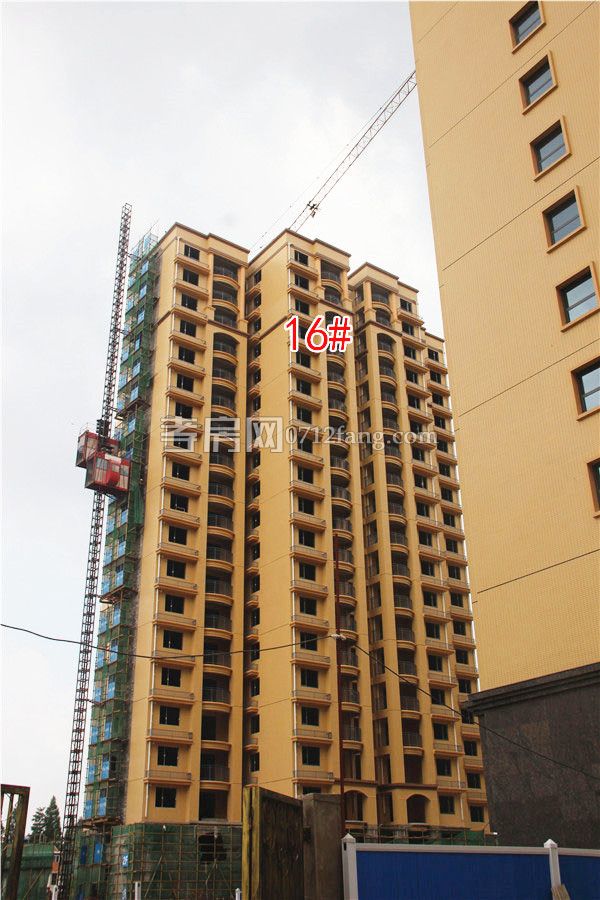 2019061410362356457qa7k87.jpg 16#.jpg